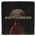 Anthurium - Bundle Kit