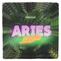 Aries - Loop Kit