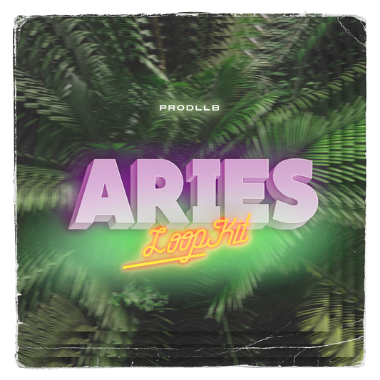 Aries - Loop Kit